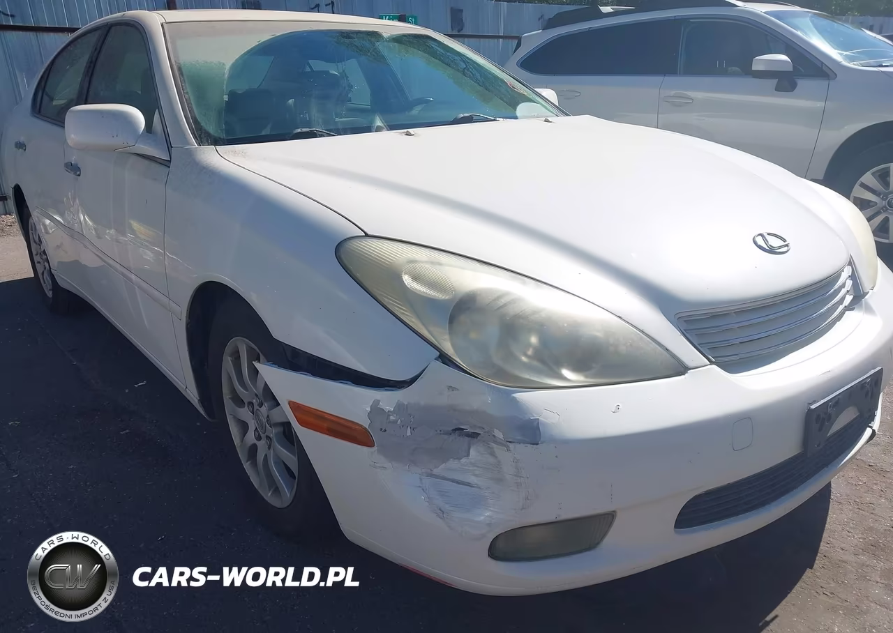 2002 Lexus Es 300 VIN:JTHBF30G120042460 - 6