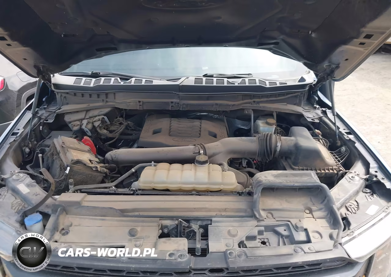 2022 Ford F-150 Tremor VIN:1FTEW1E87NFB88173 - 10