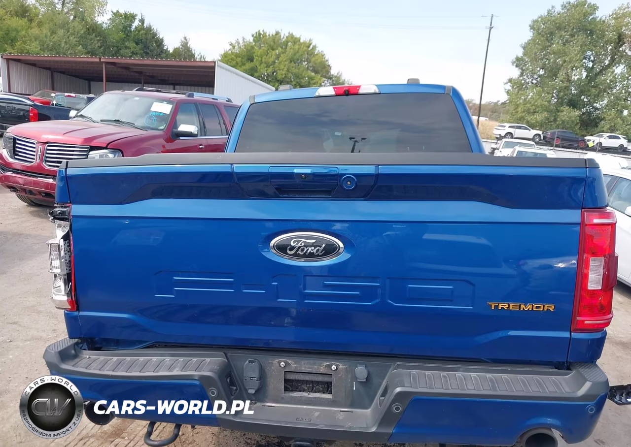2022 Ford F-150 Tremor VIN:1FTEW1E87NFB88173 - 17