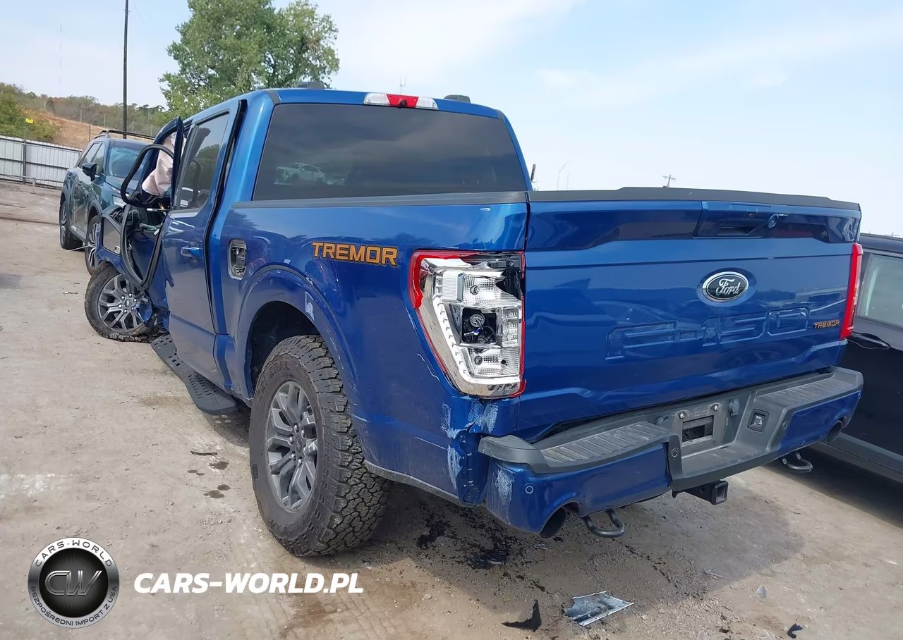 2022 Ford F-150 Tremor VIN:1FTEW1E87NFB88173 - 3