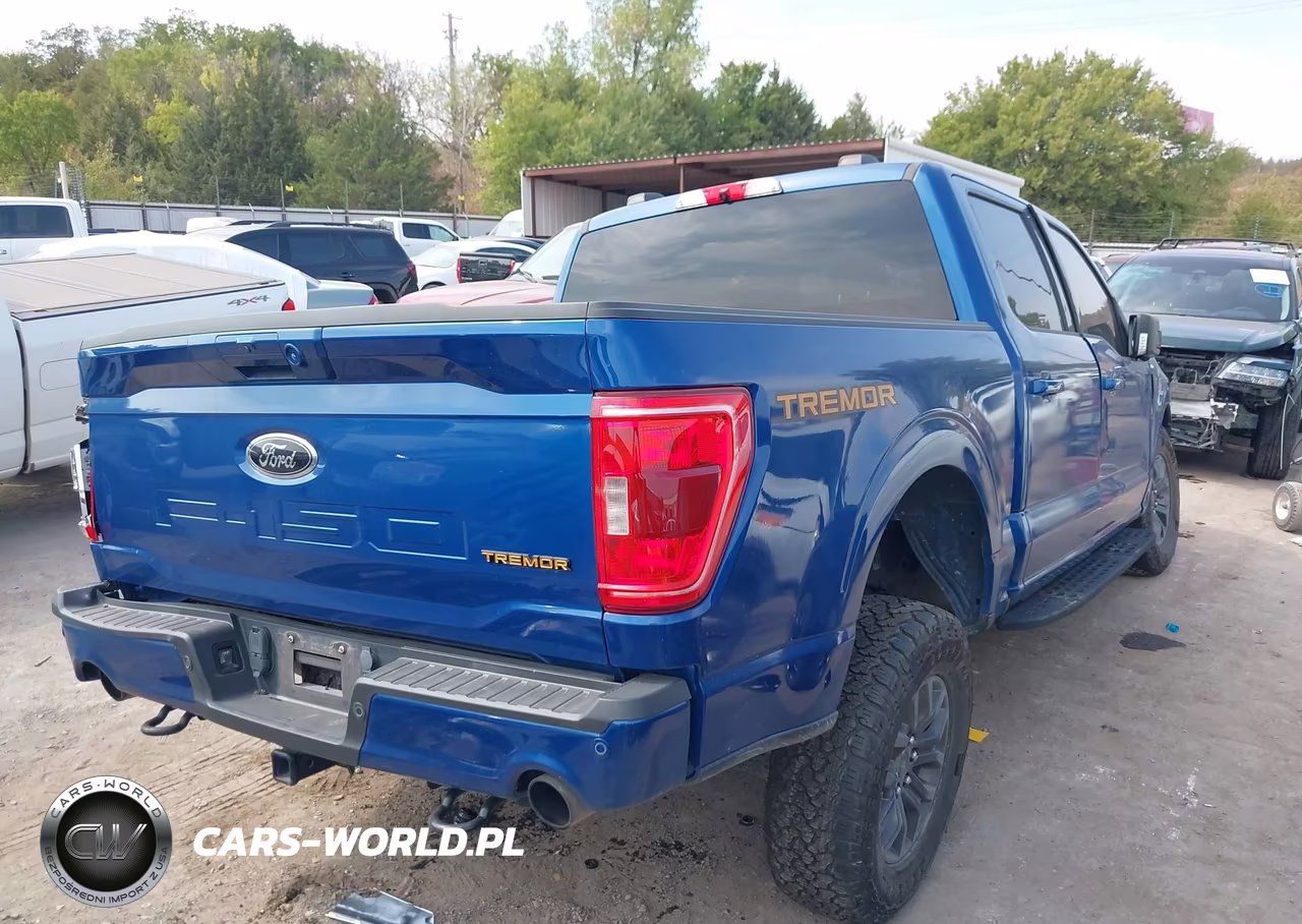 2022 Ford F-150 Tremor VIN:1FTEW1E87NFB88173 - 4