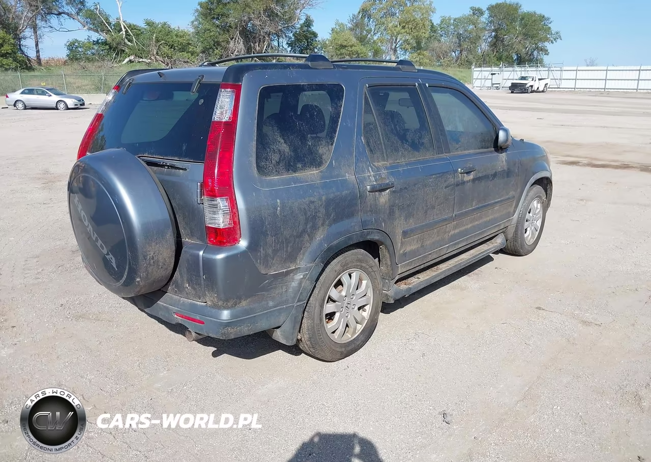 2005 Honda Cr-V Se VIN:JHLRD78945C012703 - 4