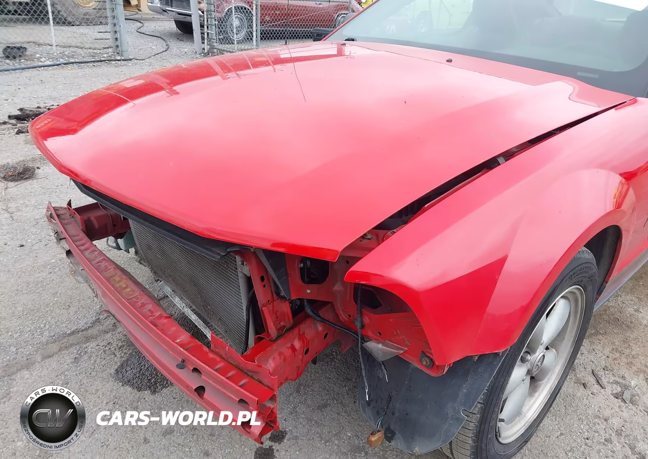 2007 Ford Mustang Deluxe-Premium VIN:1ZVFT80N375370168 - 19