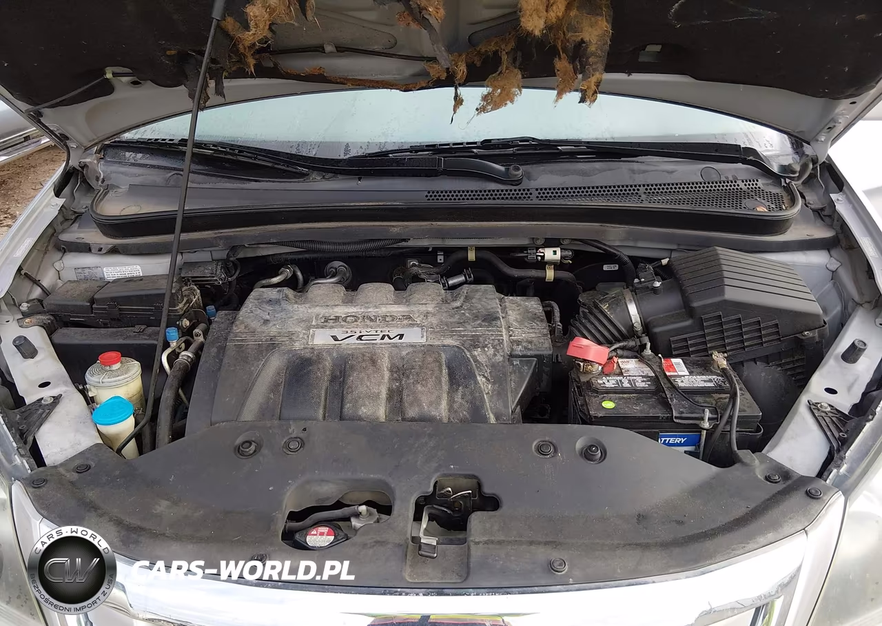 2010 Honda Odyssey Ex-L VIN:5FNRL3H71AB049809 - 10