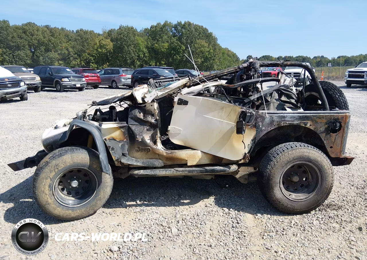1999 Jeep Wrangler Se VIN:1J4FY29P5XP461396 - 14