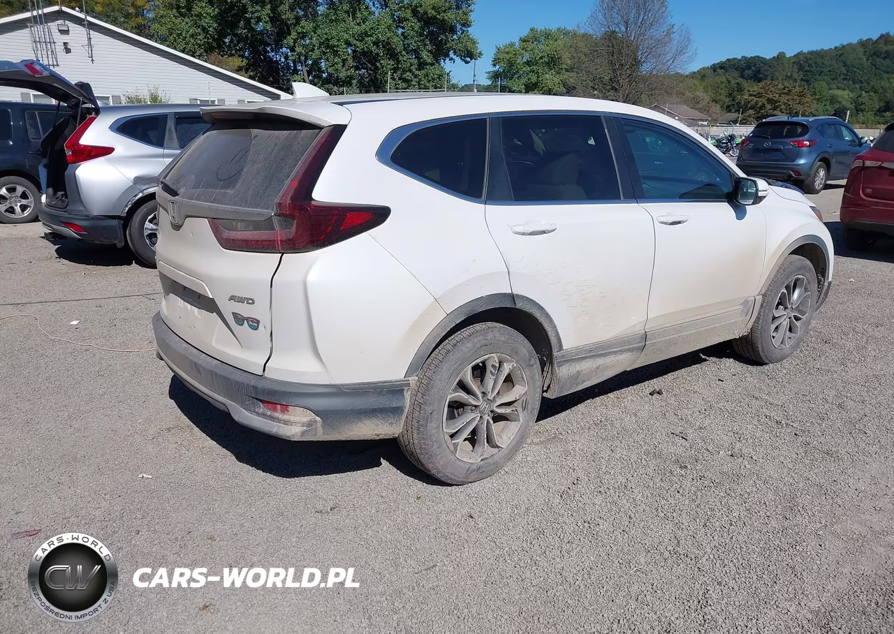 2020 Honda Cr-V Awd Ex VIN:5J6RW2H5XLL035661 - 4