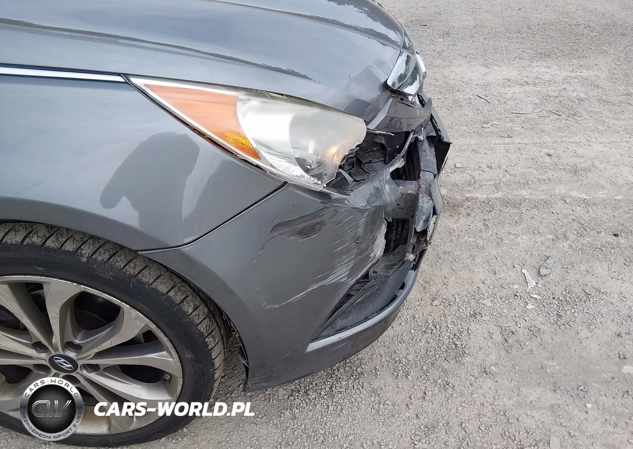 2014 Hyundai Sonata Se VIN:5NPEC4AB1EH941861 - 18