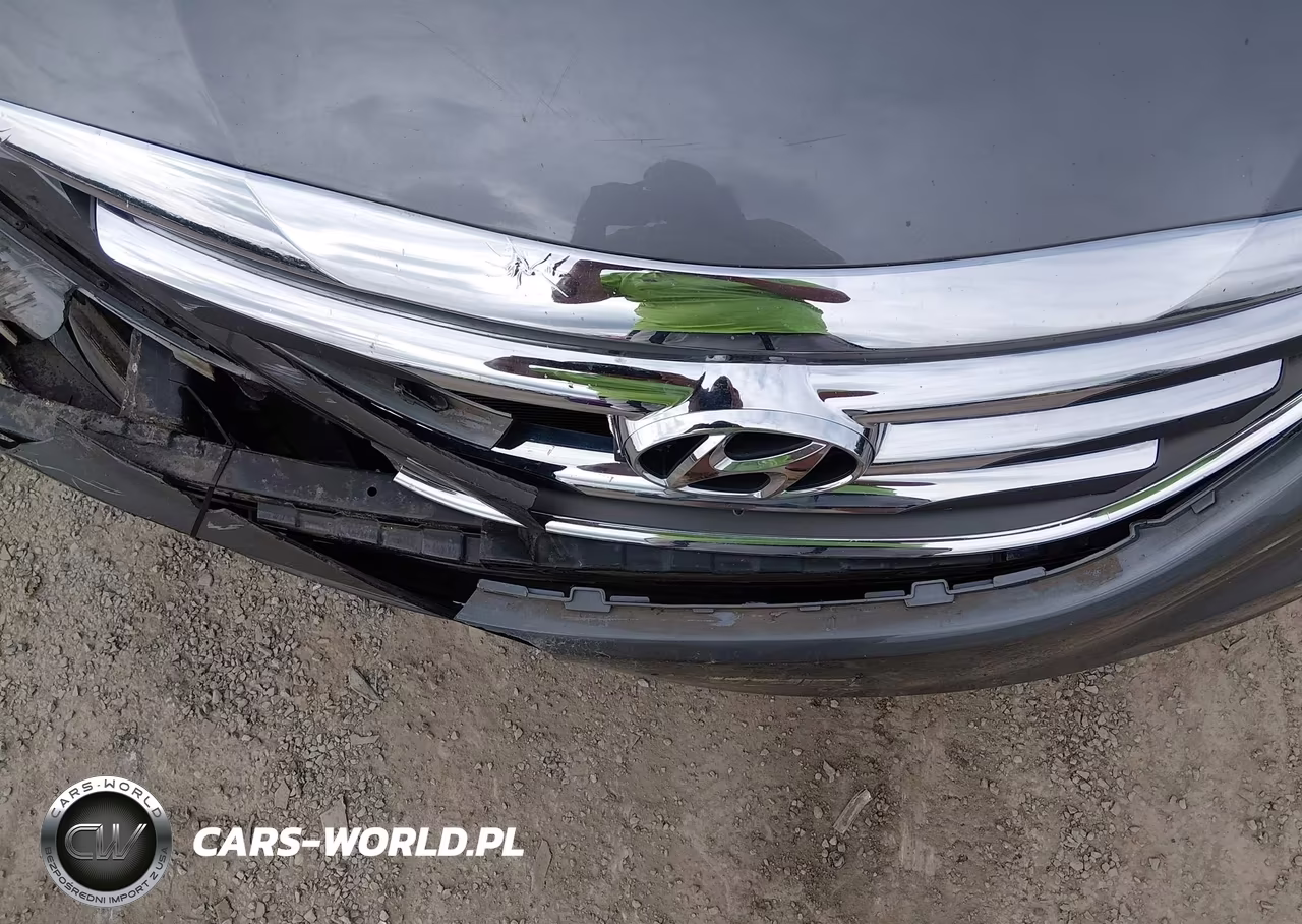2014 Hyundai Sonata Se VIN:5NPEC4AB1EH941861 - 19