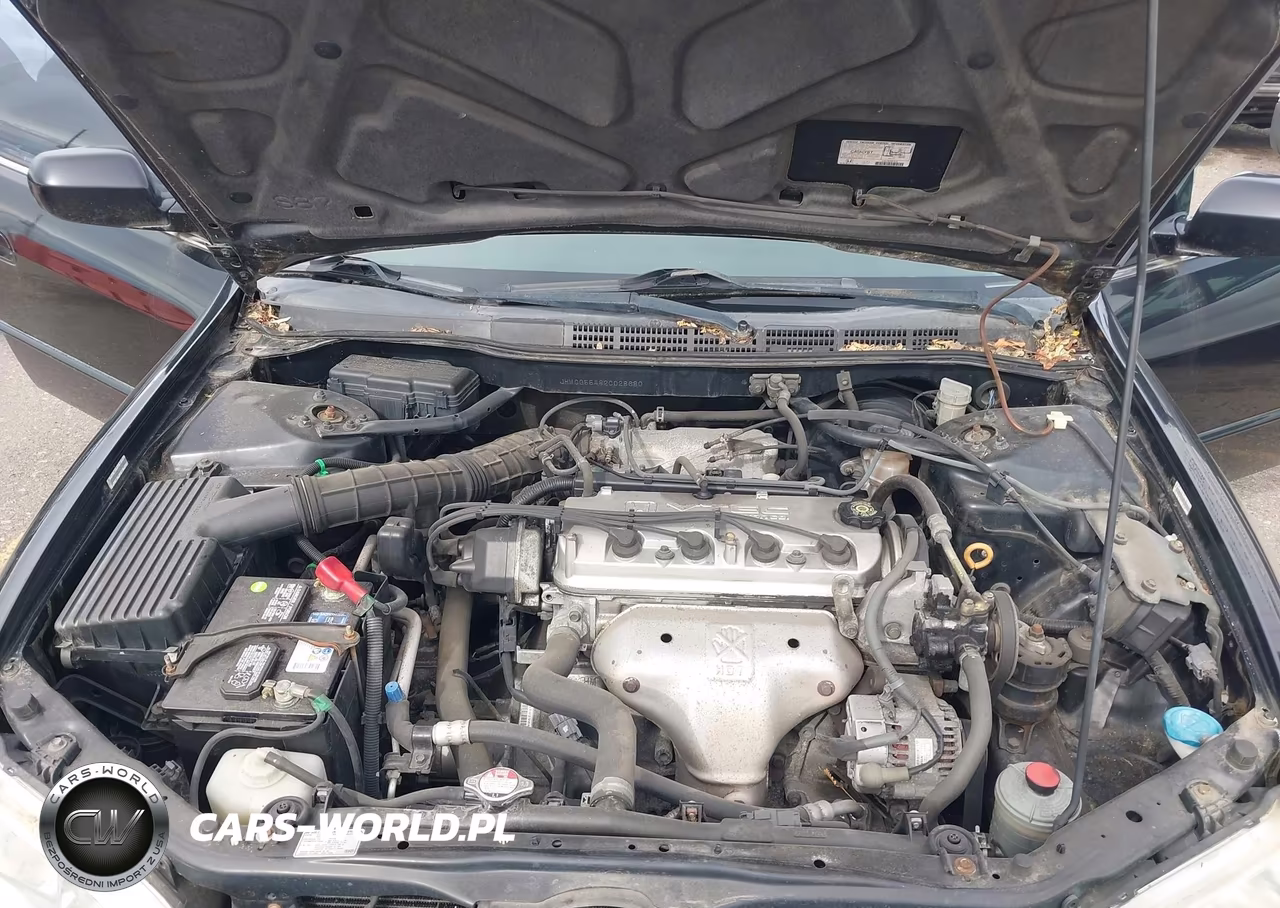 2002 Honda Accord Sdn Lx VIN:JHMCG55482C028680 - 10