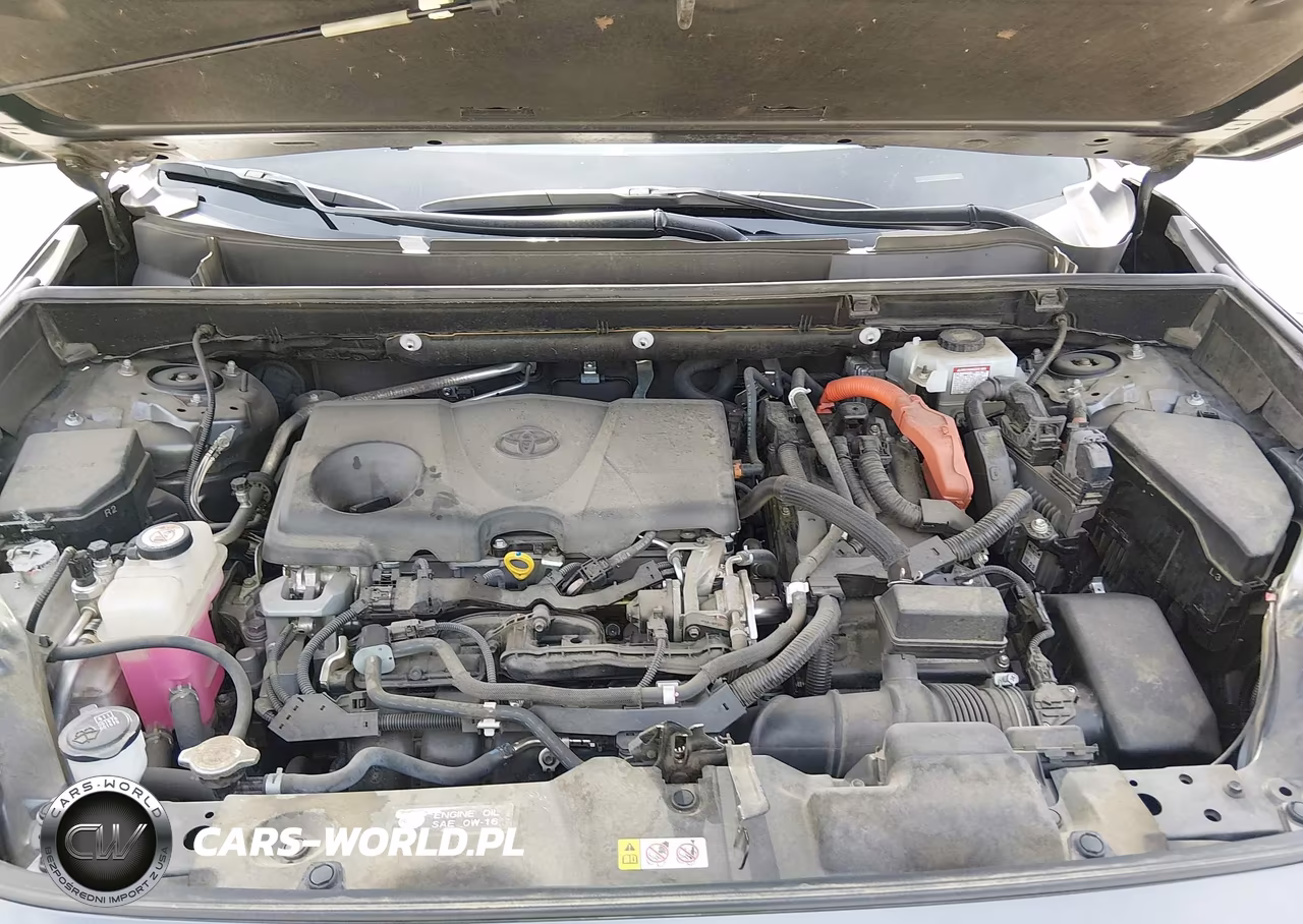 2019 Toyota Rav4 Hybrid Limited VIN:JTMDWRFV0KD522582 - 10