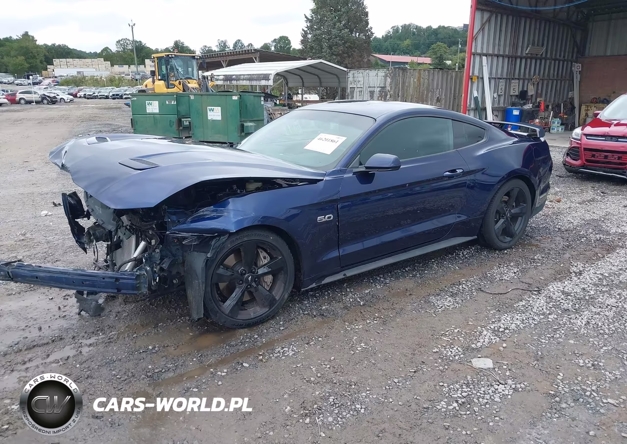 2018 FORD MUSTANG GT VIN:1FA6P8CF9J5127828 - 2