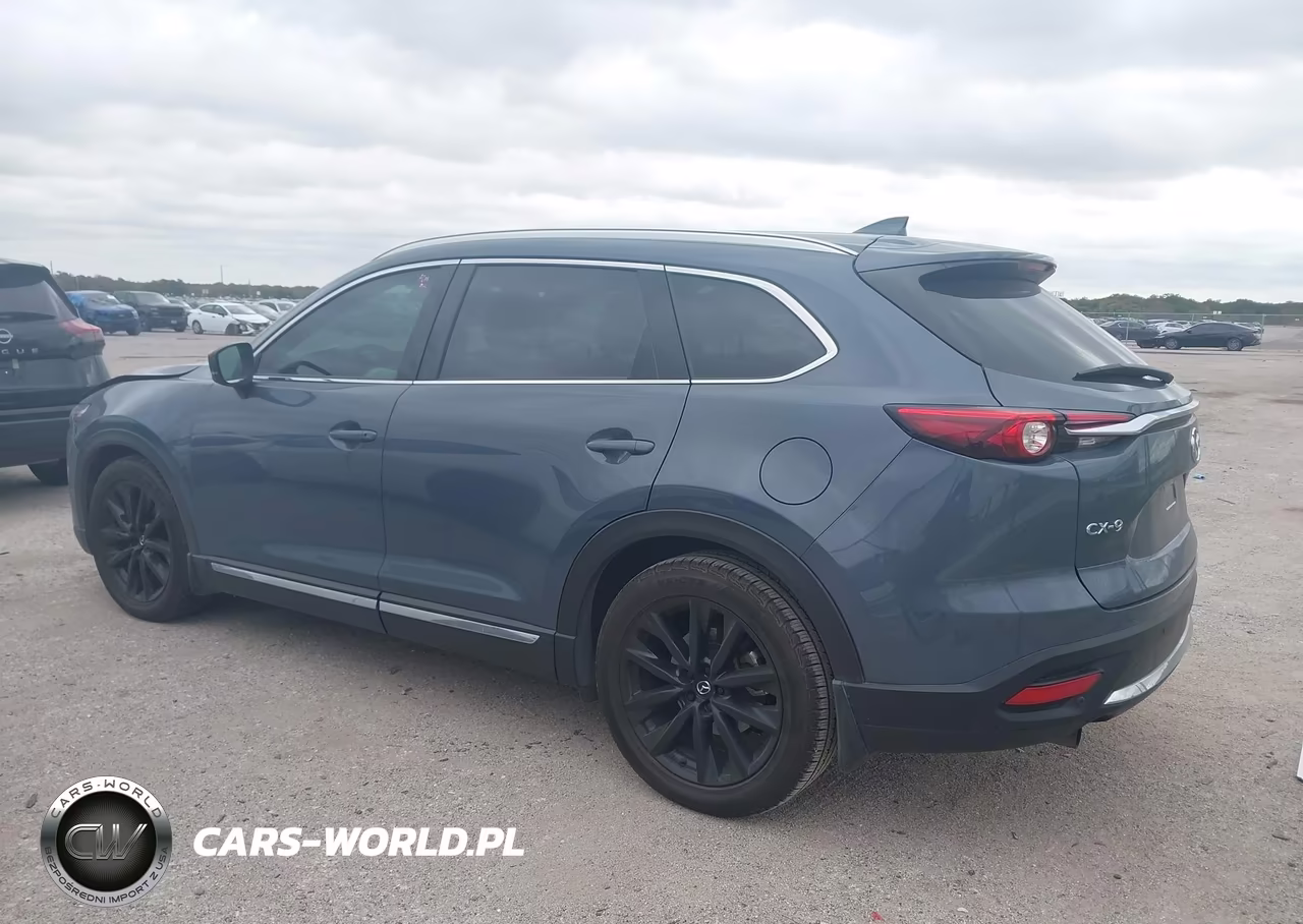 2021 Mazda Cx-9 Carbon Edition VIN:JM3TCADY2M0529246 - 3