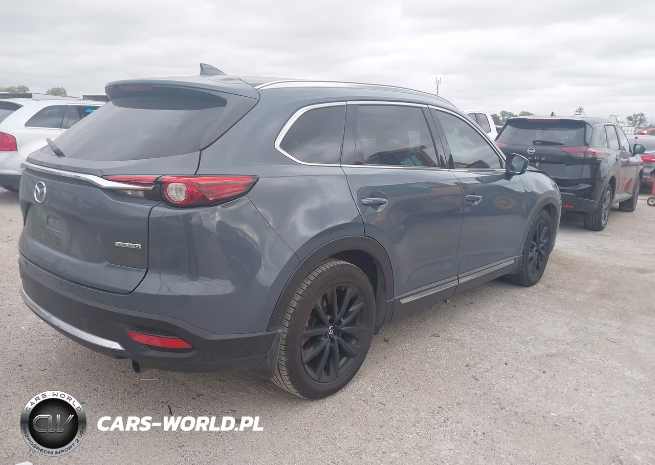 2021 Mazda Cx-9 Carbon Edition VIN:JM3TCADY2M0529246 - 4