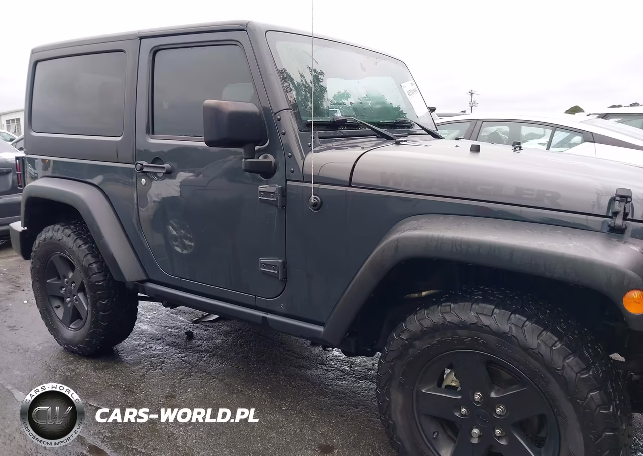 2017 Jeep Wrangler Big Bear 4X4 VIN:1C4AJWAG4HL613894 - 13