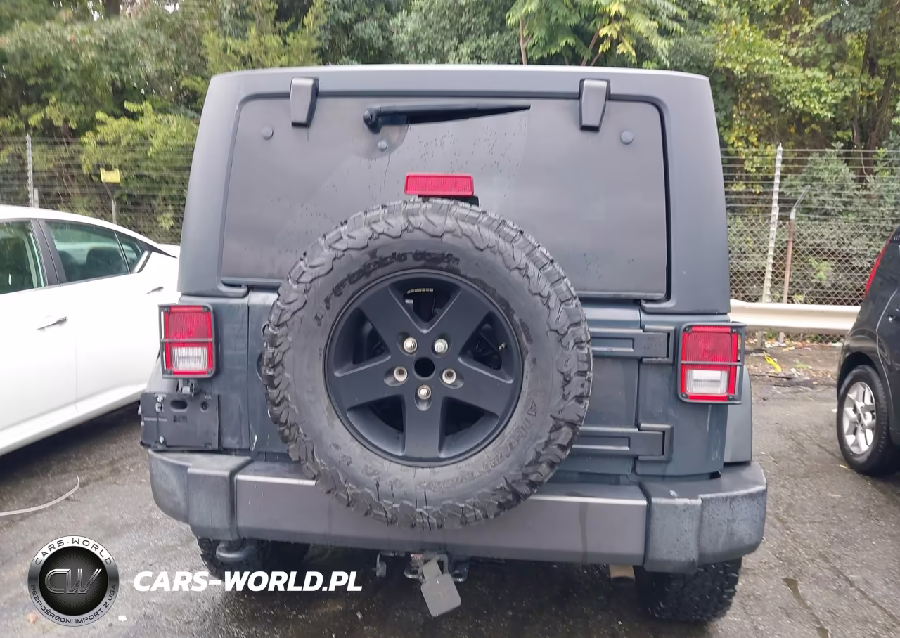 2017 Jeep Wrangler Big Bear 4X4 VIN:1C4AJWAG4HL613894 - 16