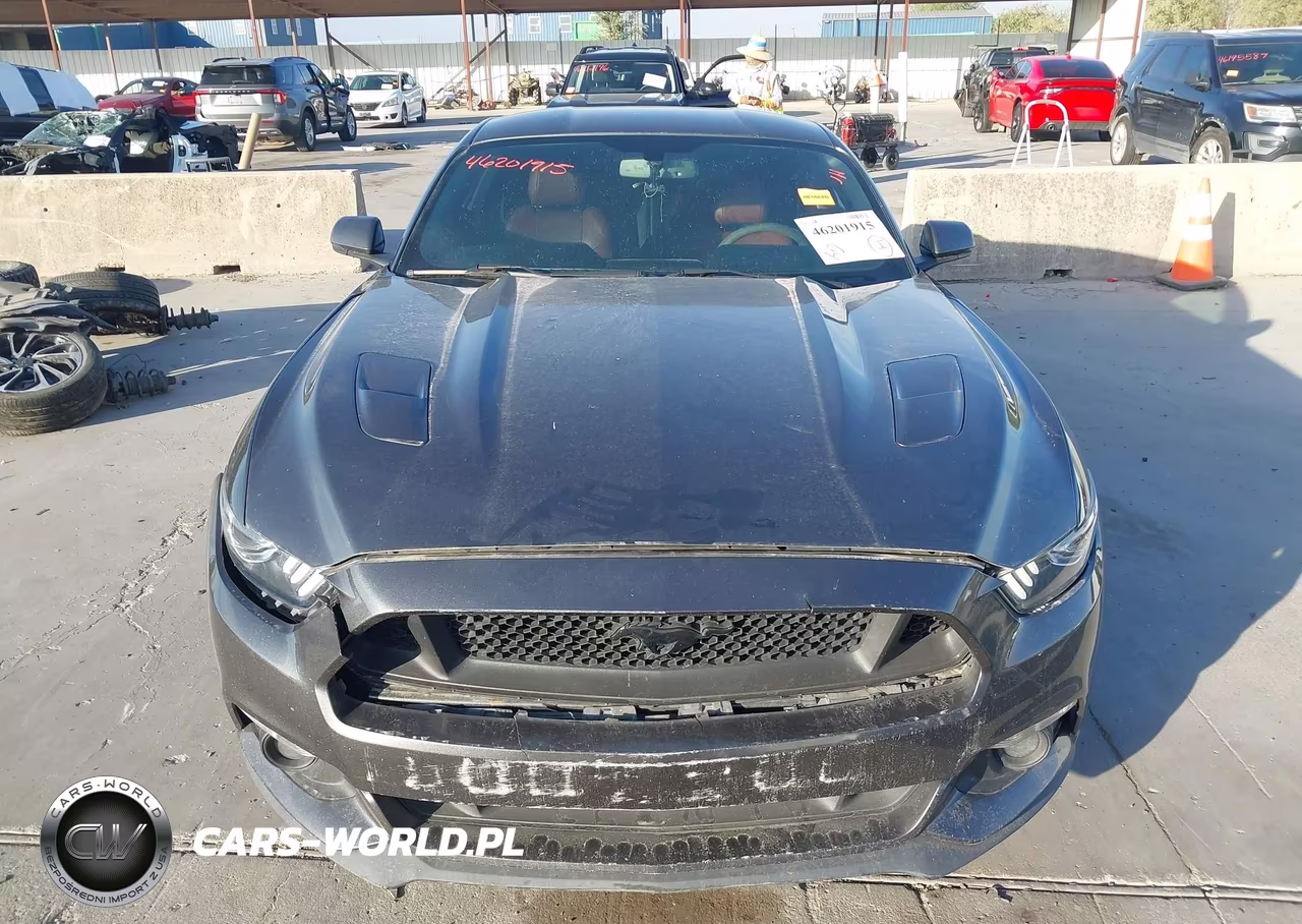 2017 Ford Mustang Gt Premium VIN:1FA6P8CF1H5300994 - 13