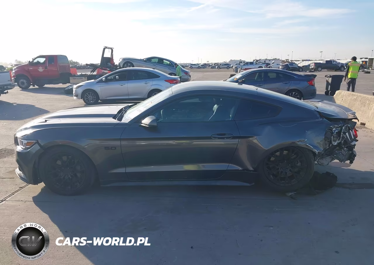 2017 Ford Mustang Gt Premium VIN:1FA6P8CF1H5300994 - 15