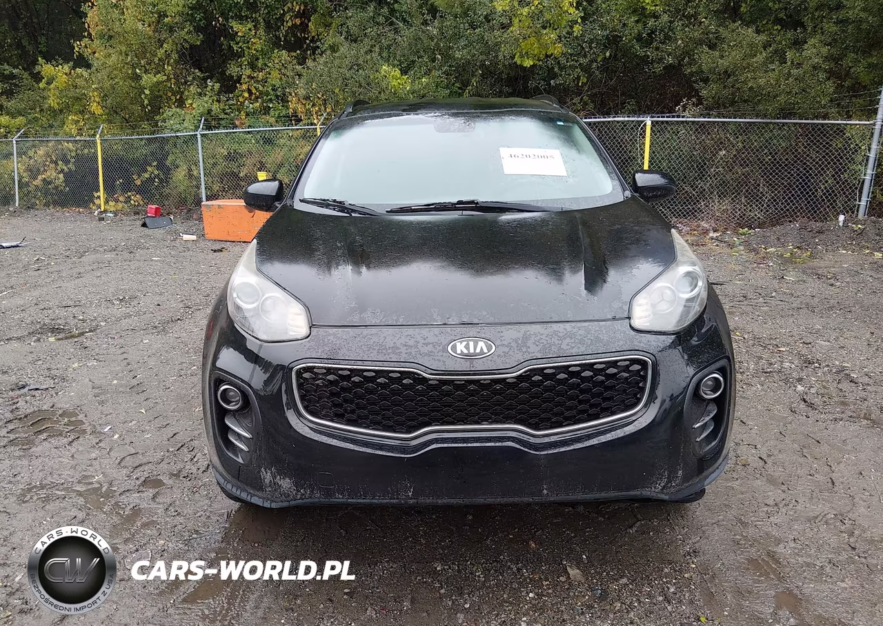 2017 Kia Sportage Ex VIN:KNDPNCAC8H7144974 - 12