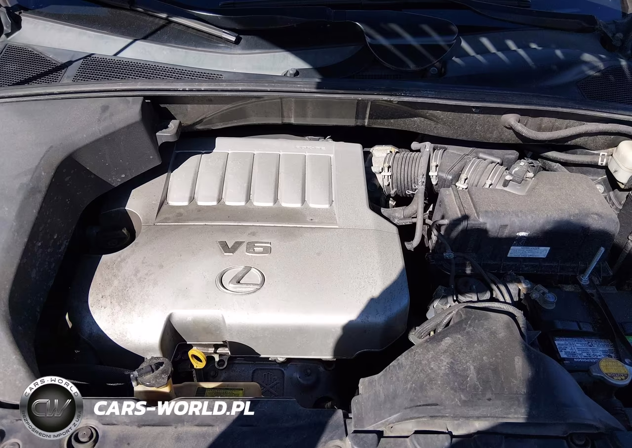 2009 Lexus Rx 350 VIN:2T2GK31U69C059080 - 10