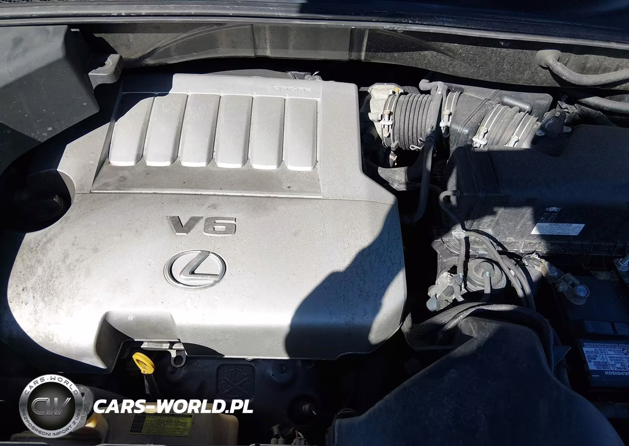 2009 Lexus Rx 350 VIN:2T2GK31U69C059080 - 6