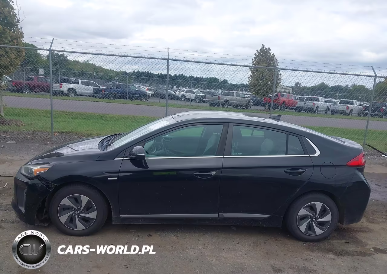2017 Hyundai Ioniq Hybrid Sel VIN:KMHC75LC7HU048218 - 14
