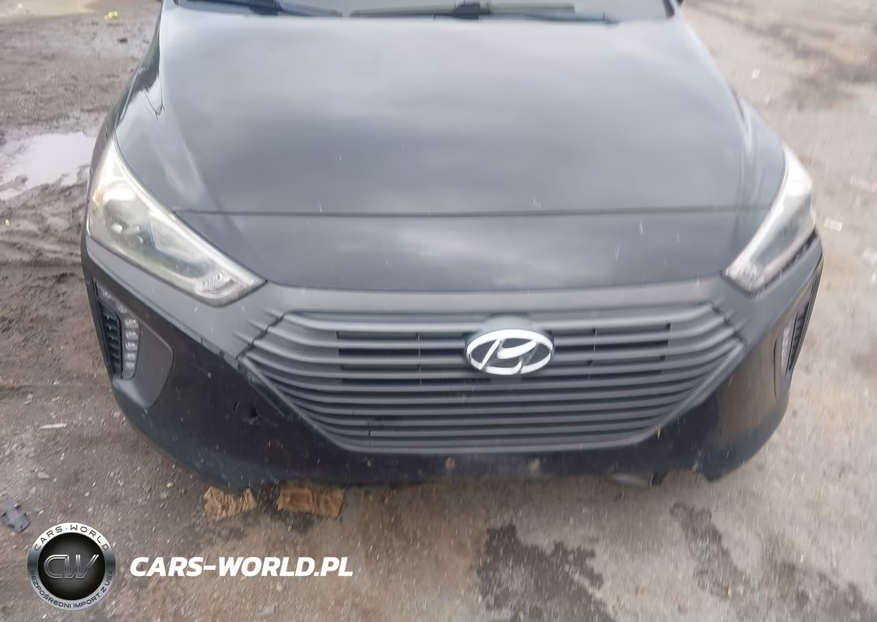 2017 Hyundai Ioniq Hybrid Sel VIN:KMHC75LC7HU048218 - 6