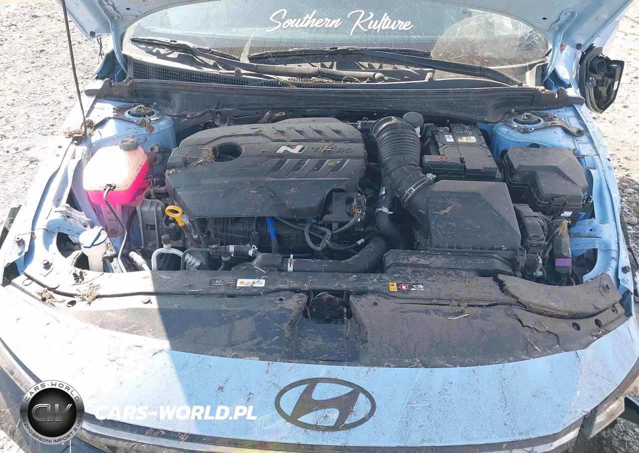 2025 Hyundai Elantra N VIN:KMHLW4DK2SU029876 - 10