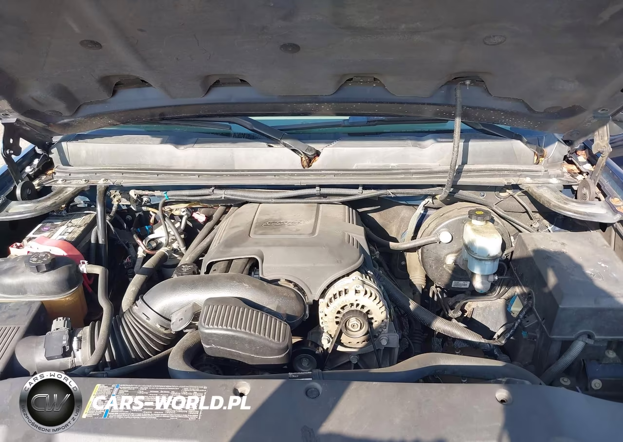 2009 Chevrolet Silverado 1500 Ls VIN:3GCEC13C09G176192 - 10