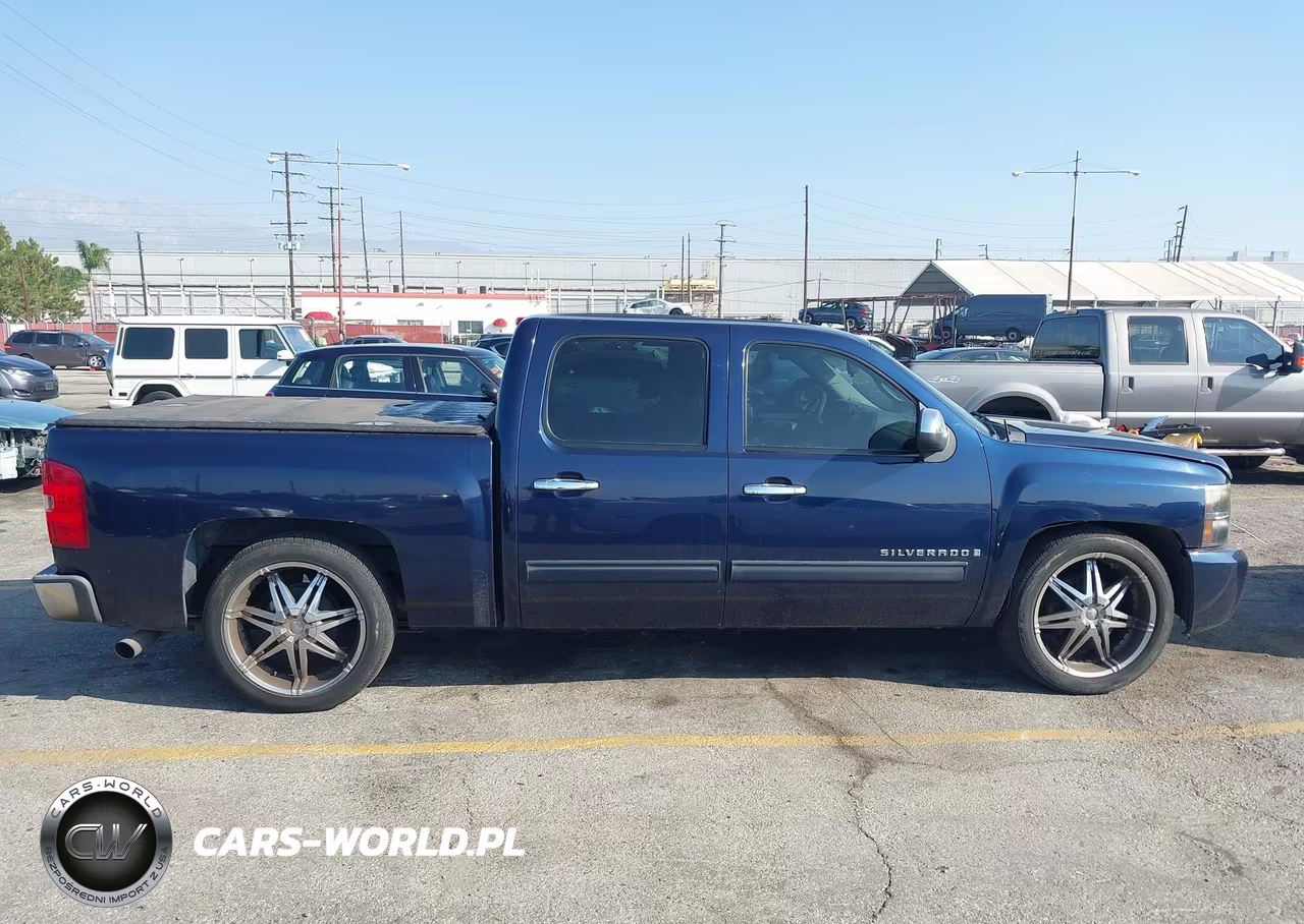 2009 Chevrolet Silverado 1500 Ls VIN:3GCEC13C09G176192 - 13
