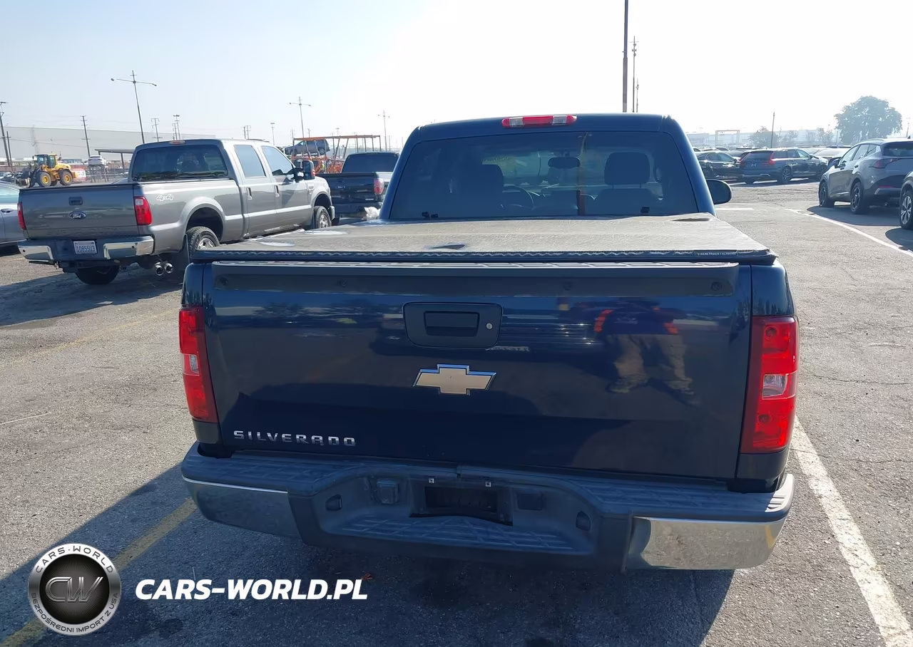 2009 Chevrolet Silverado 1500 Ls VIN:3GCEC13C09G176192 - 16