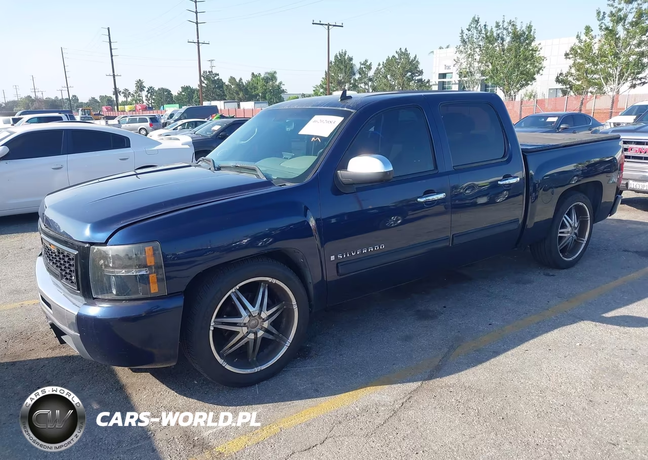 2009 Chevrolet Silverado 1500 Ls VIN:3GCEC13C09G176192 - 2