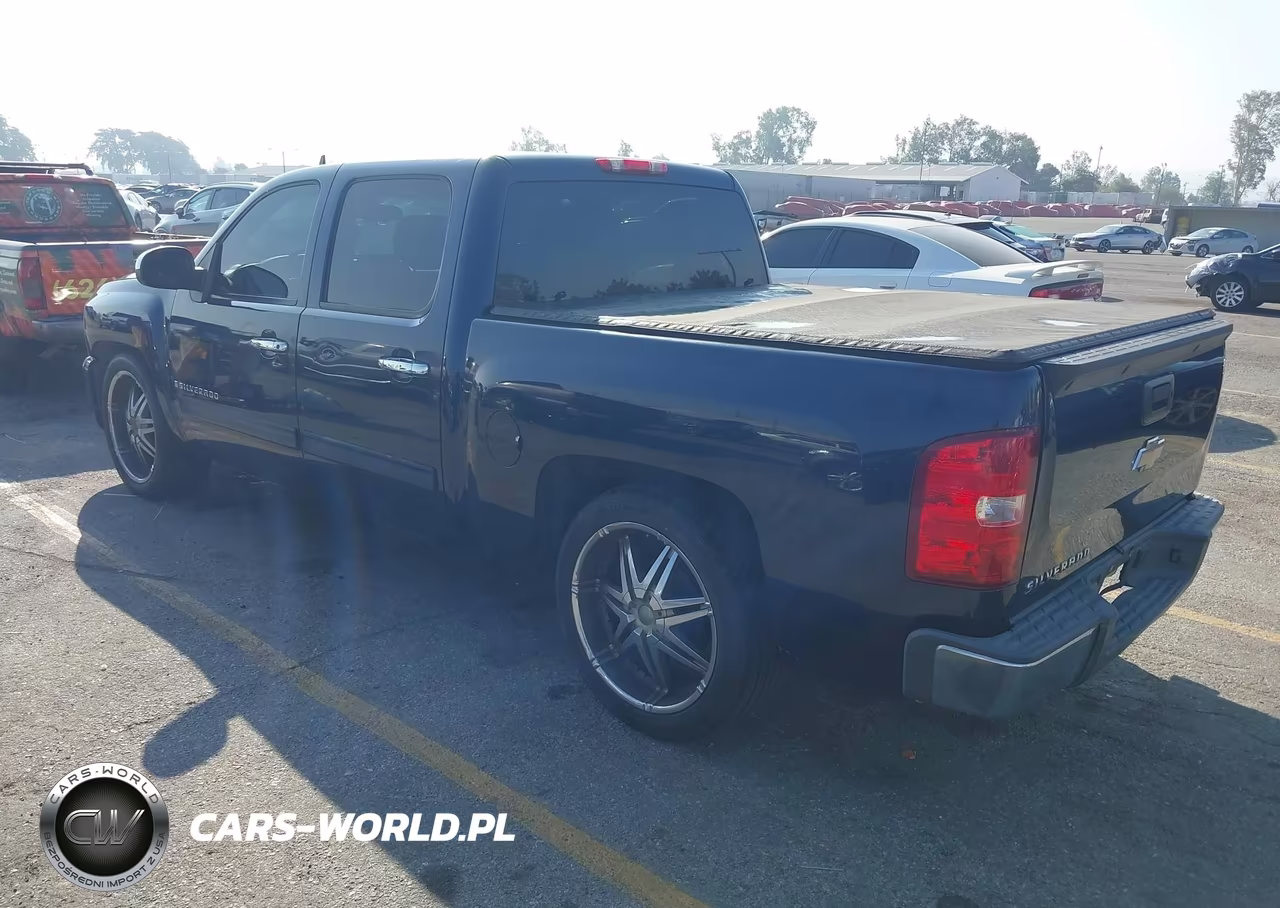2009 Chevrolet Silverado 1500 Ls VIN:3GCEC13C09G176192 - 3