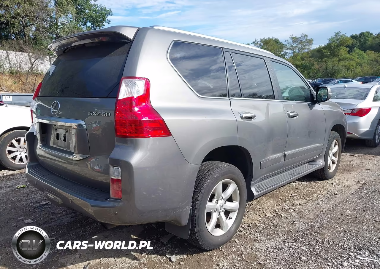 2010 Lexus Gx 460 Premium VIN:JTJJM7FX9A5015460 - 4