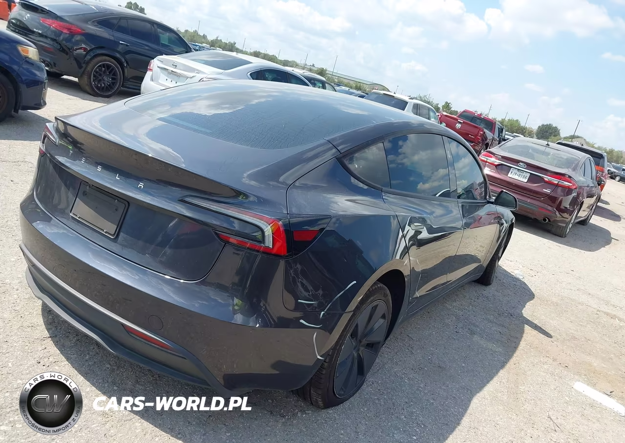 2025 Tesla Model 3 Long Range Rear-Wheel Drive-Standard Rear-Wheel Drive VIN:5YJ3E1EA0SF916462 - 4