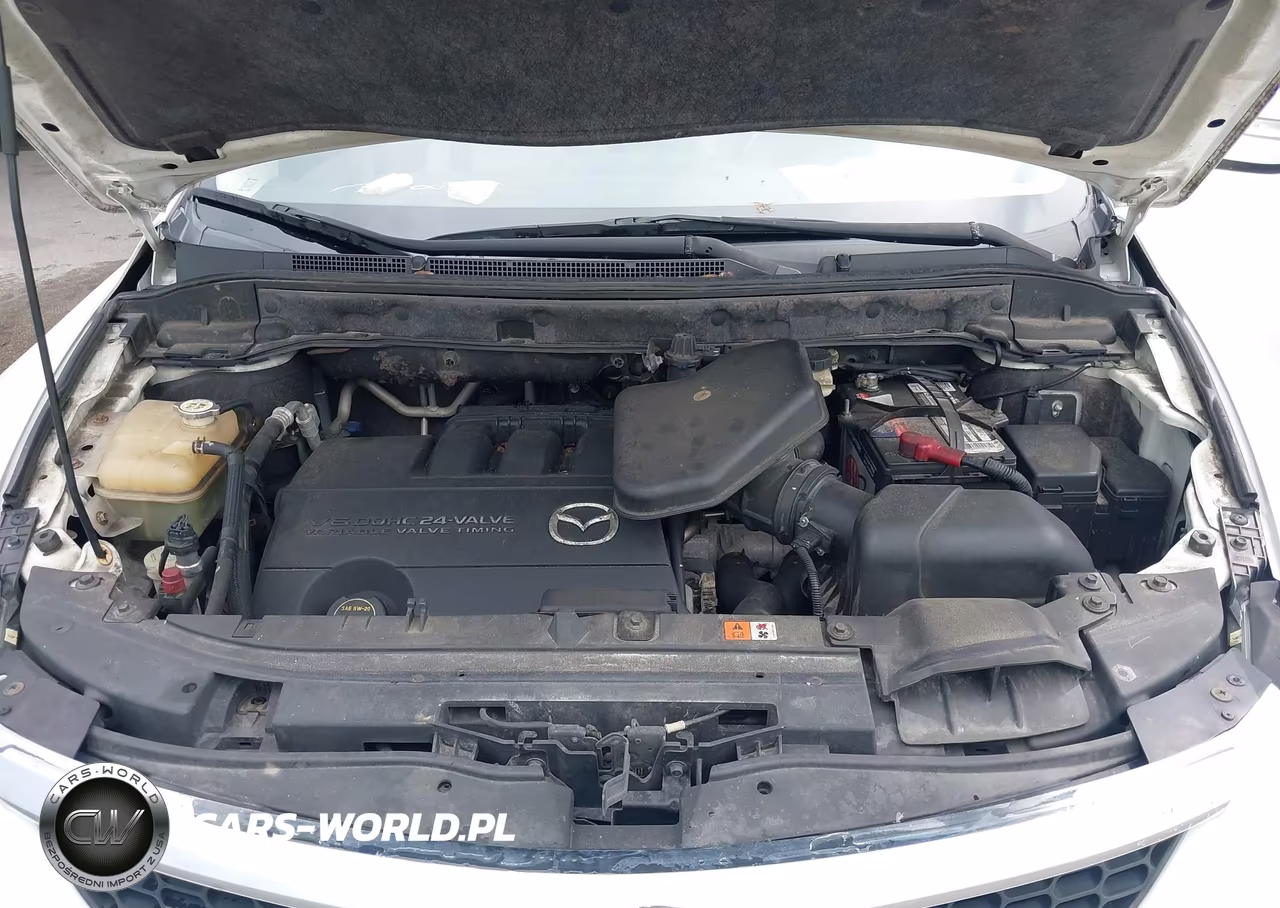 2009 Mazda Cx-9 Grand Touring VIN:JM3TB28A490167112 - 10