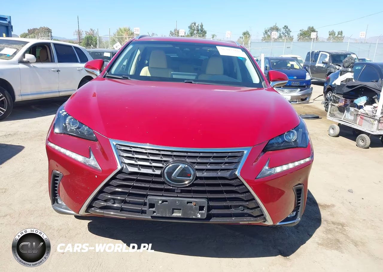 2018 Lexus Nx 300 VIN:JTJYARBZ7J2112832 - 13