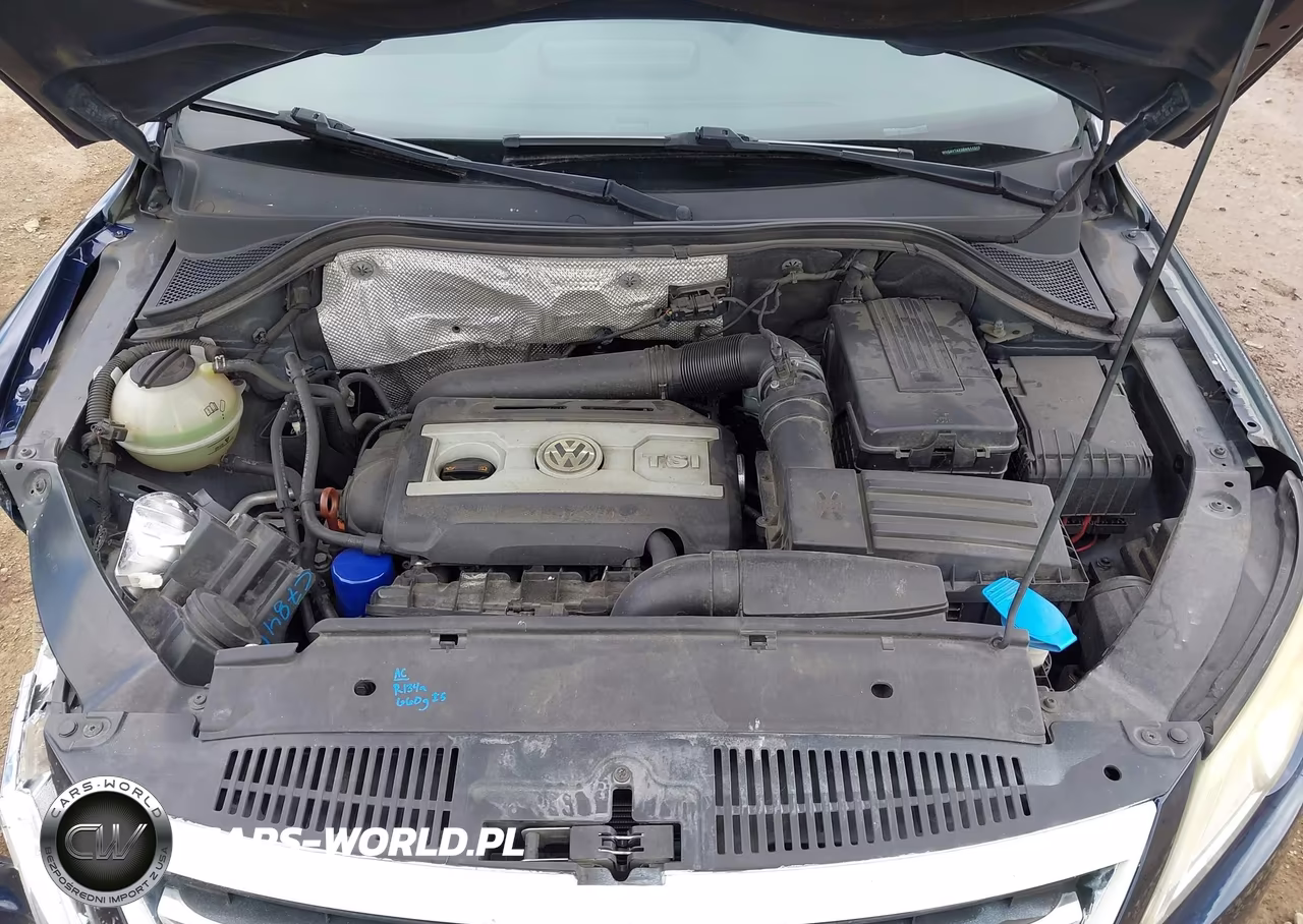 2011 Volkswagen Tiguan Se VIN:WVGAV7AX3BW511319 - 10