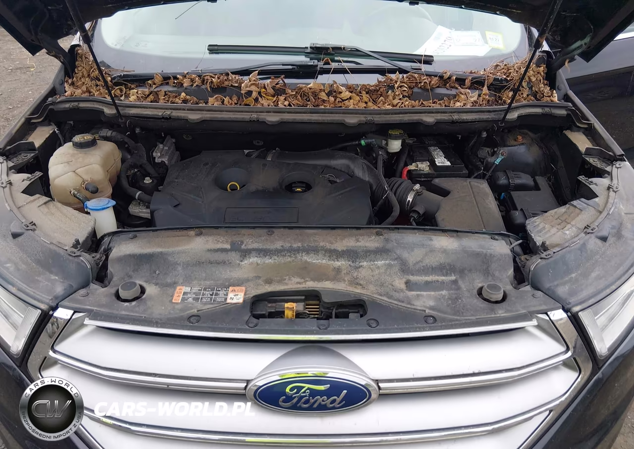 2015 Ford Edge Titanium VIN:2FMTK4K90FBC22776 - 10