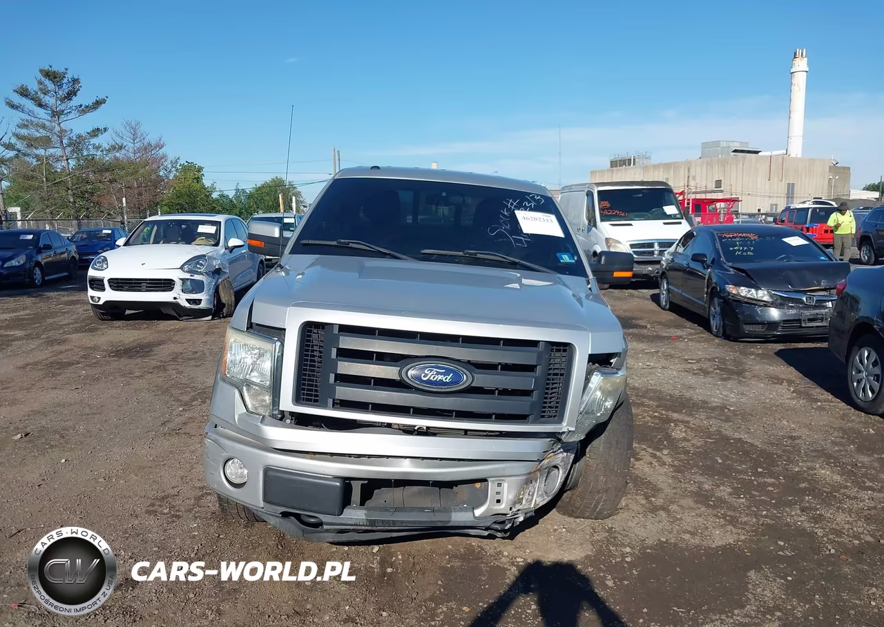 2010 Ford F-150 Fx4-Harley-Davidson-King Ranch-Lariat-Platinum-Xl-Xlt VIN:1FTFW1EV5AFD15183 - 12