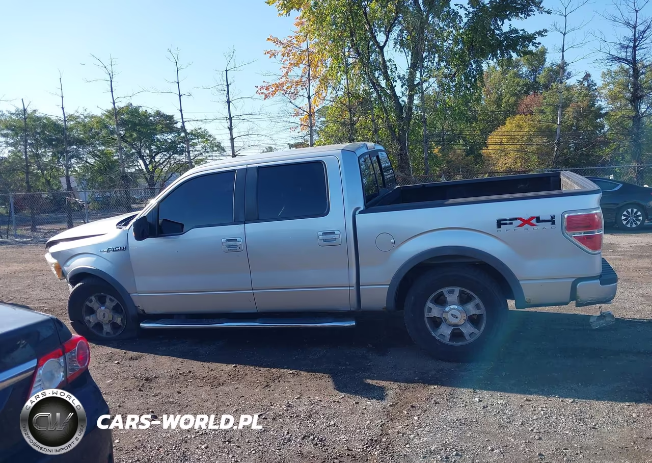 2010 Ford F-150 Fx4-Harley-Davidson-King Ranch-Lariat-Platinum-Xl-Xlt VIN:1FTFW1EV5AFD15183 - 14