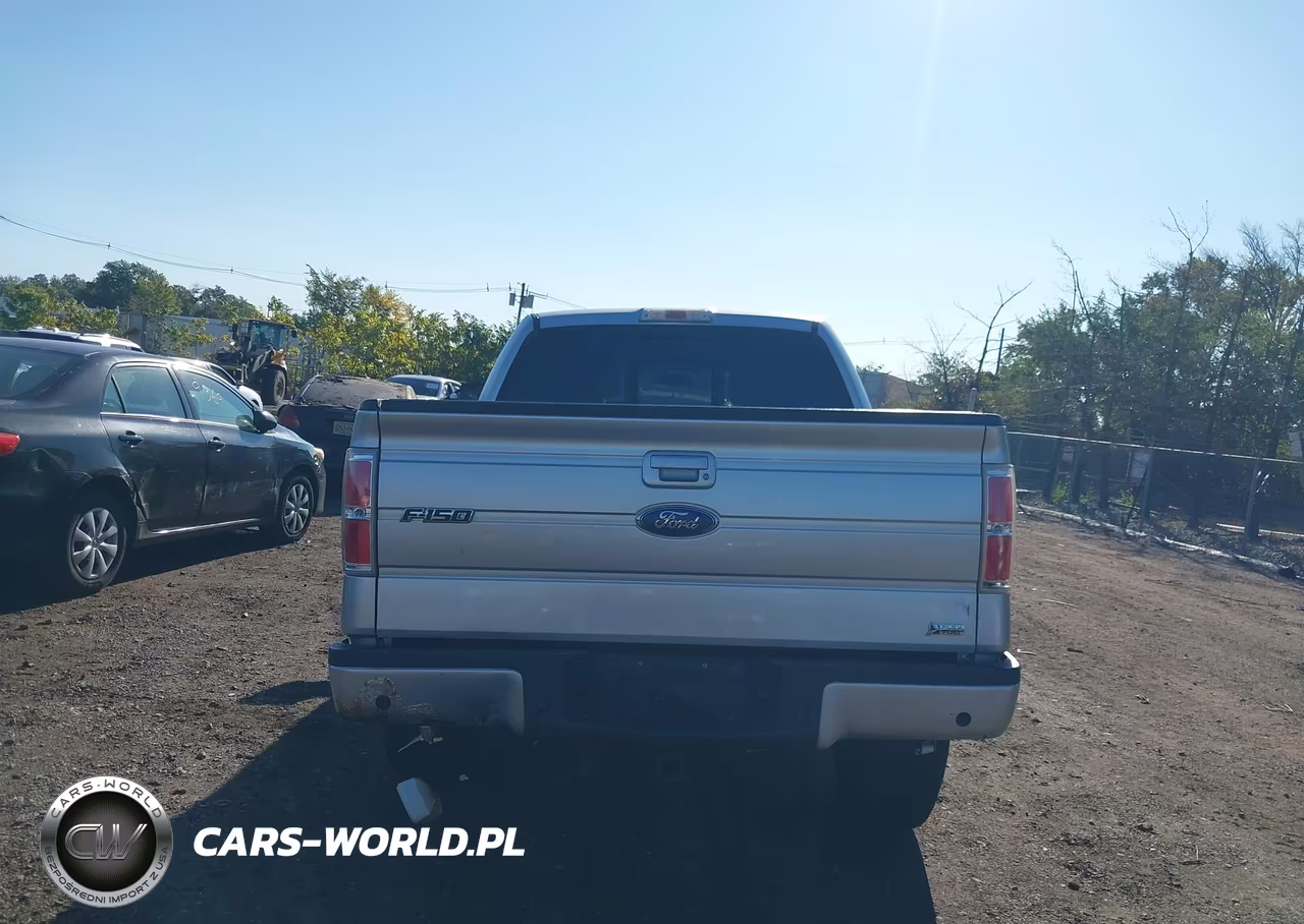2010 Ford F-150 Fx4-Harley-Davidson-King Ranch-Lariat-Platinum-Xl-Xlt VIN:1FTFW1EV5AFD15183 - 16