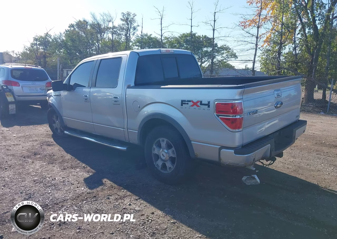 2010 Ford F-150 Fx4-Harley-Davidson-King Ranch-Lariat-Platinum-Xl-Xlt VIN:1FTFW1EV5AFD15183 - 3