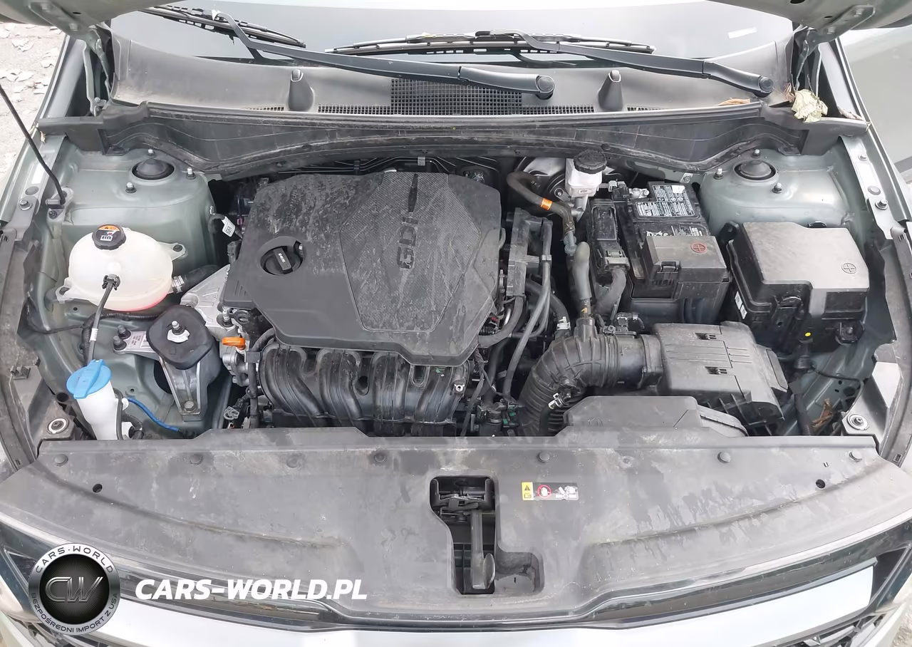 2023 Kia Sportage X-Line VIN:5XYK6CAF9PG105071 - 10