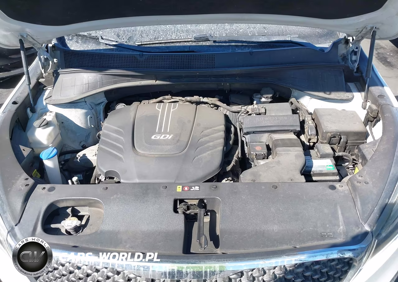 2017 Kia Sorento 3.3L Sx VIN:5XYPK4A57HG264056 - 10
