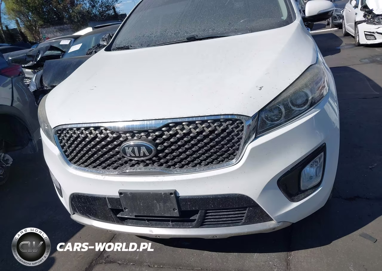 2017 Kia Sorento 3.3L Sx VIN:5XYPK4A57HG264056 - 13