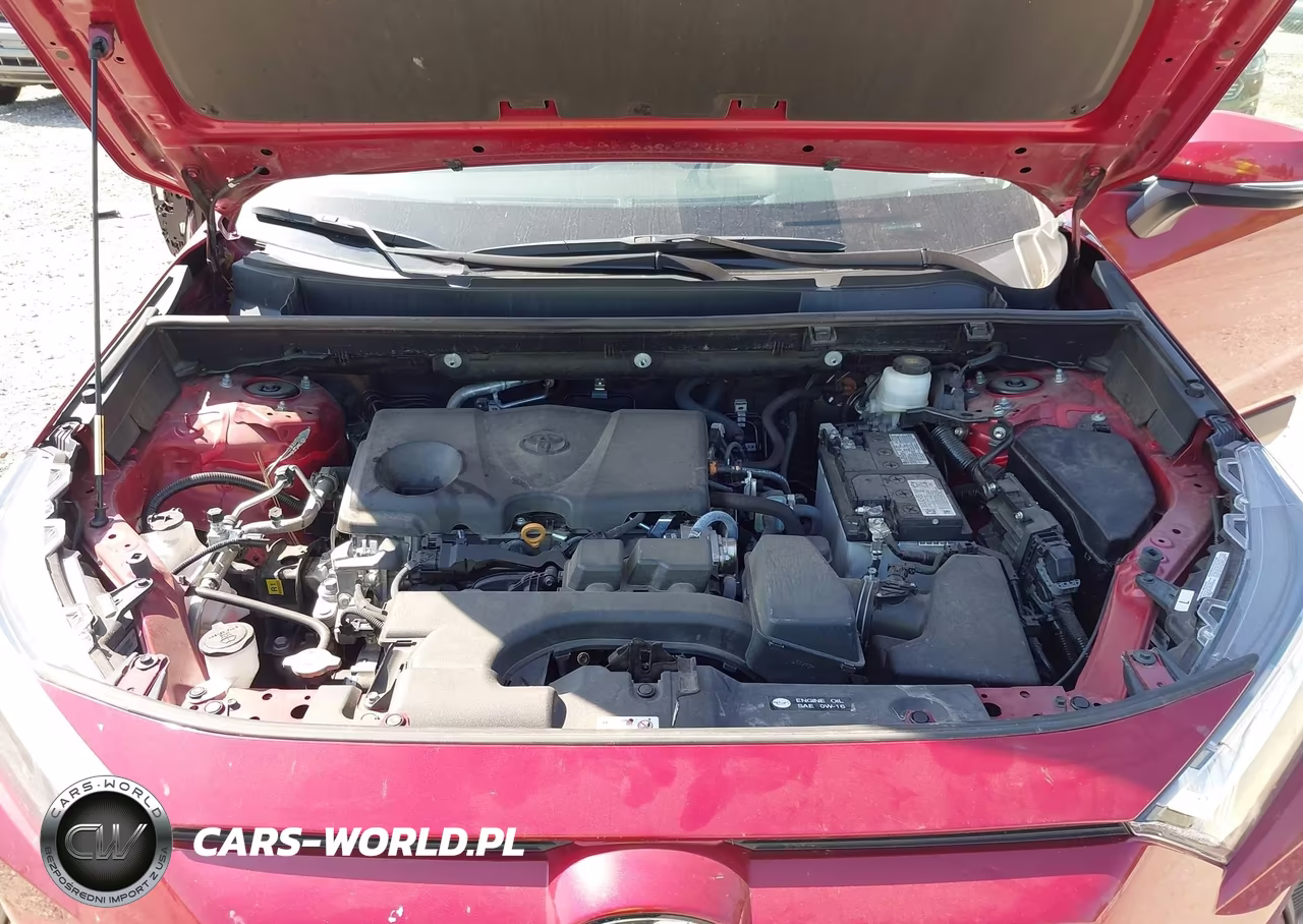 2025 Toyota Rav4 Xle VIN:2T3W1RFV7SW397459 - 10