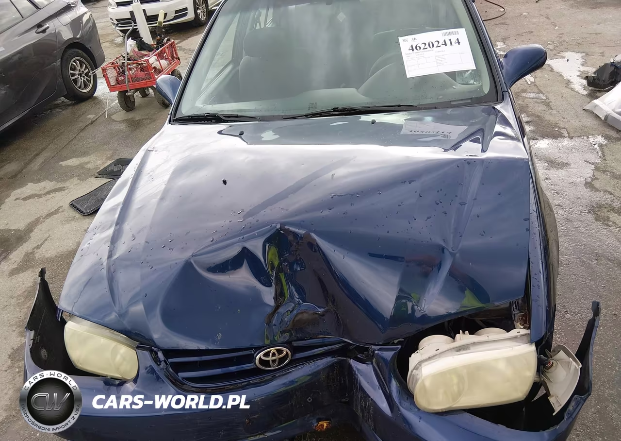 2002 Toyota Corolla S VIN:2T1BR12E92C526441 - 10