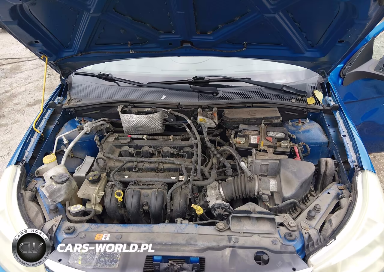 2010 Ford Focus S VIN:1FAHP3ENXAW223333 - 10