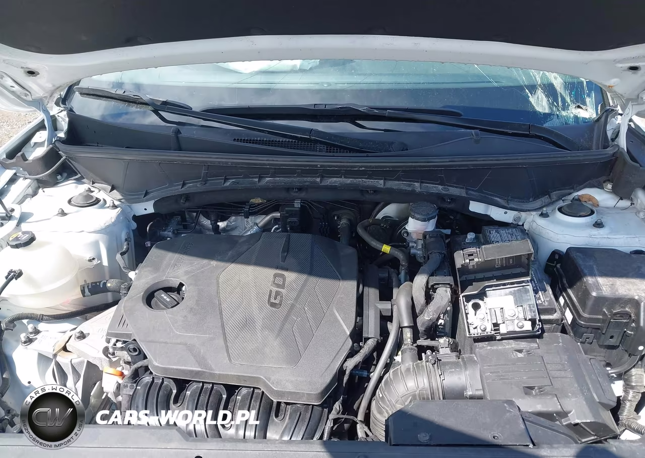 2024 Hyundai Tucson Sel VIN:5NMJBCDEXRH428113 - 10