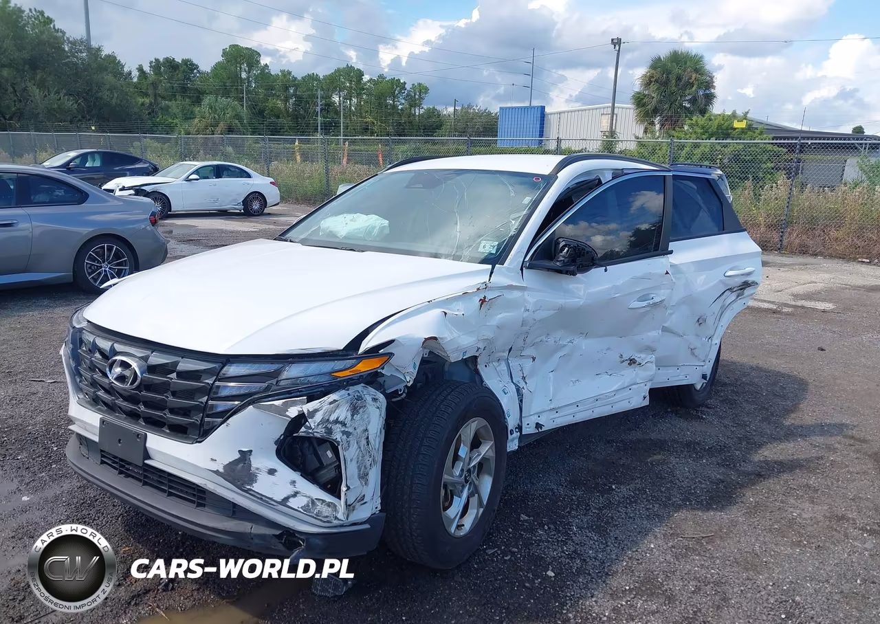 2024 Hyundai Tucson Sel VIN:5NMJBCDEXRH428113 - 2